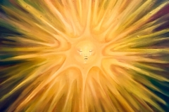 5B1E05F1-FA3E-4843-A180-C1E4DAD238EB